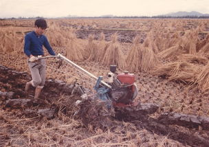 廣東農(nóng)機化改革開放的這40年
