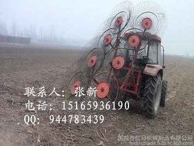 廠家生產(chǎn)優(yōu)質(zhì)指盤摟草機 拖拉機帶的摟草機 玉米秸稈收集機械 8盤指盤摟草機圖片_高清圖_細節(jié)圖-禹城市紅日機械制造 -
